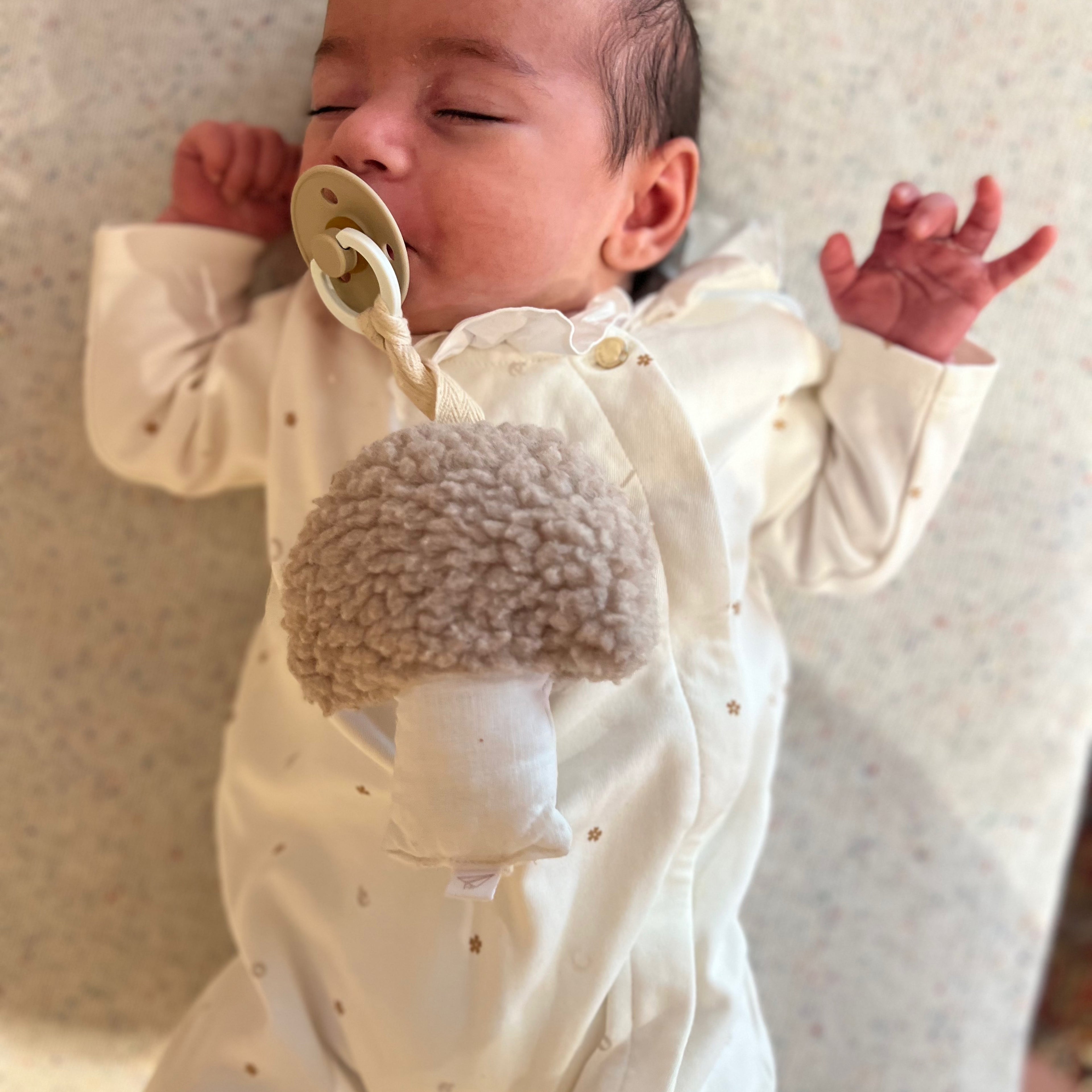 Sherpa Mushroom Pacifier Holder - Aspen